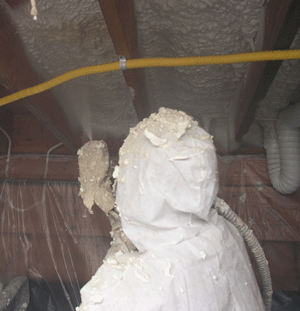  NM crawl space insulation